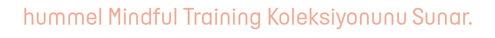 Mindful Training Main Banner