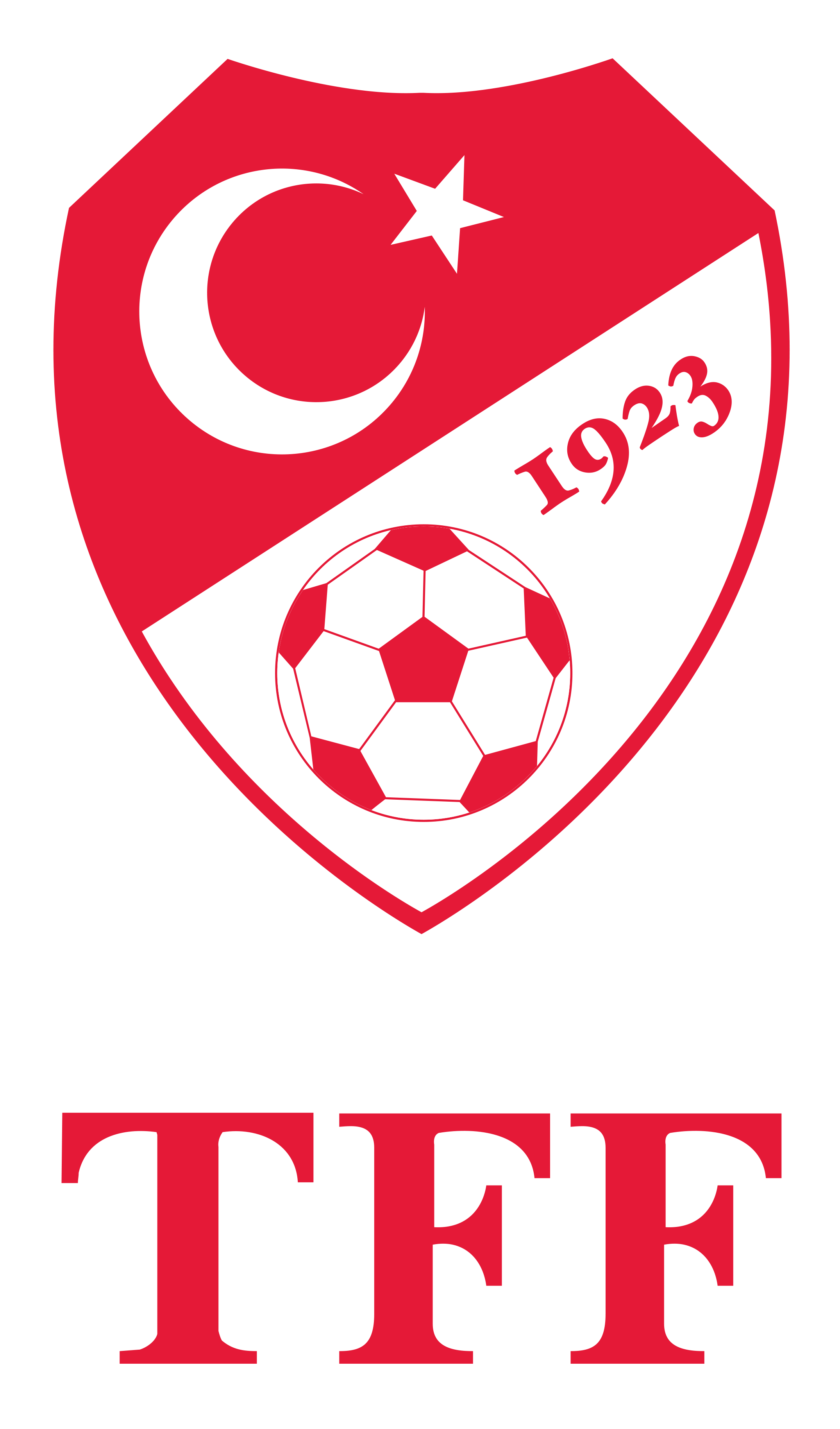 Türkiye Futbol Federasyonu