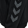 KEEPER CHEVRON FERMUARLI HOODIE - hummel 