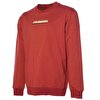 ALDEN SWEATSHIRT