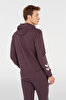 ELEMENTAL HOODIE