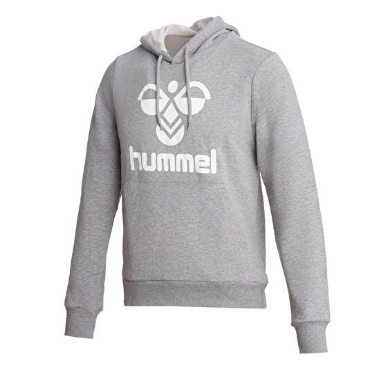 ARUS HOODIE Gri Erkek Hoodie