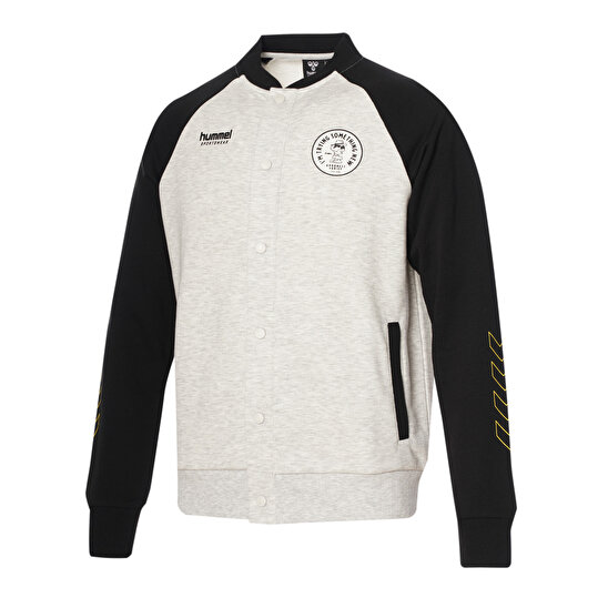 SNOOPY PEANUTS™ BOMBER FERMUARLI SWEATSHIRT Gri Erkek Fermuarlı Sweatshirt