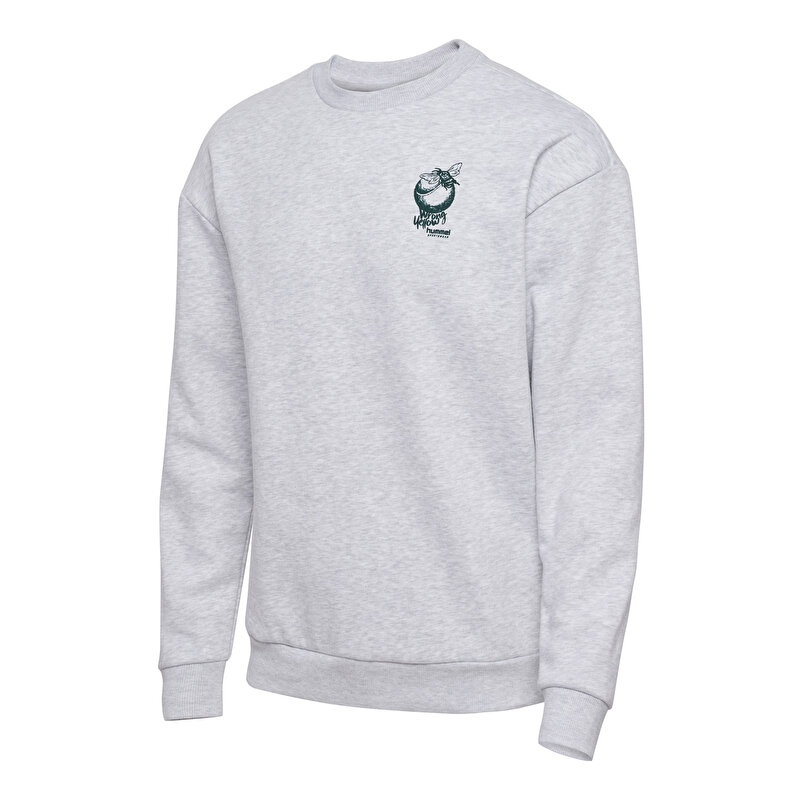 LOOSE CREW SWEATSHIRT Gri Unisex Sweatshirt