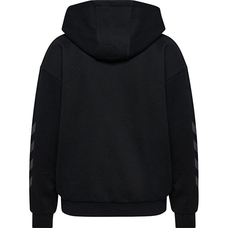 KEEPER CHEVRON W FERMUARLI HOODIE - hummel 