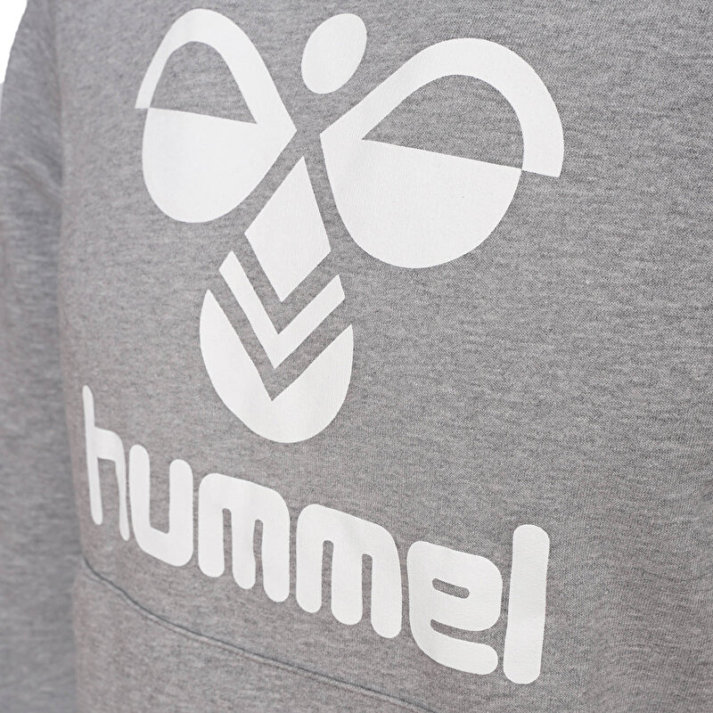 ARUS HOODIE Gri Erkek Hoodie