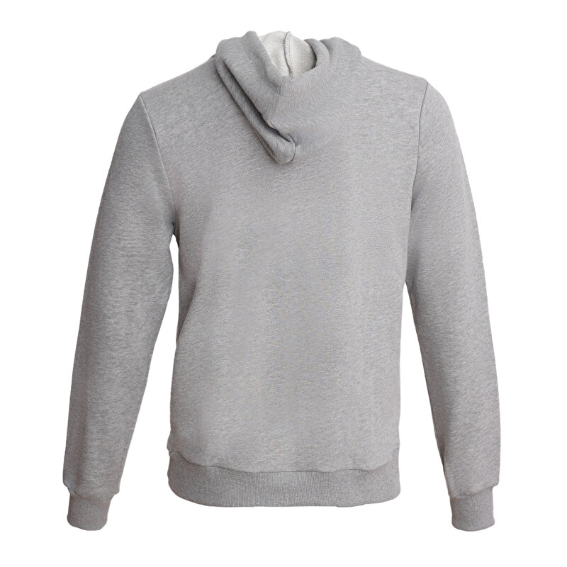 ARUS HOODIE Gri Erkek Hoodie