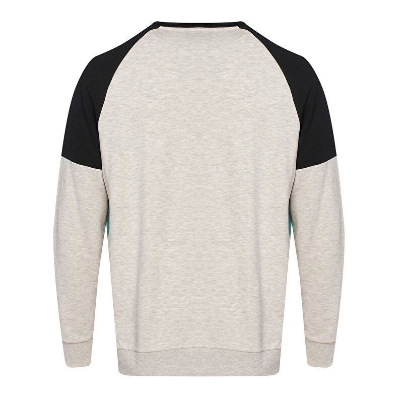 FRANCHES SWEATSHIRT Gri Erkek Sweatshirt