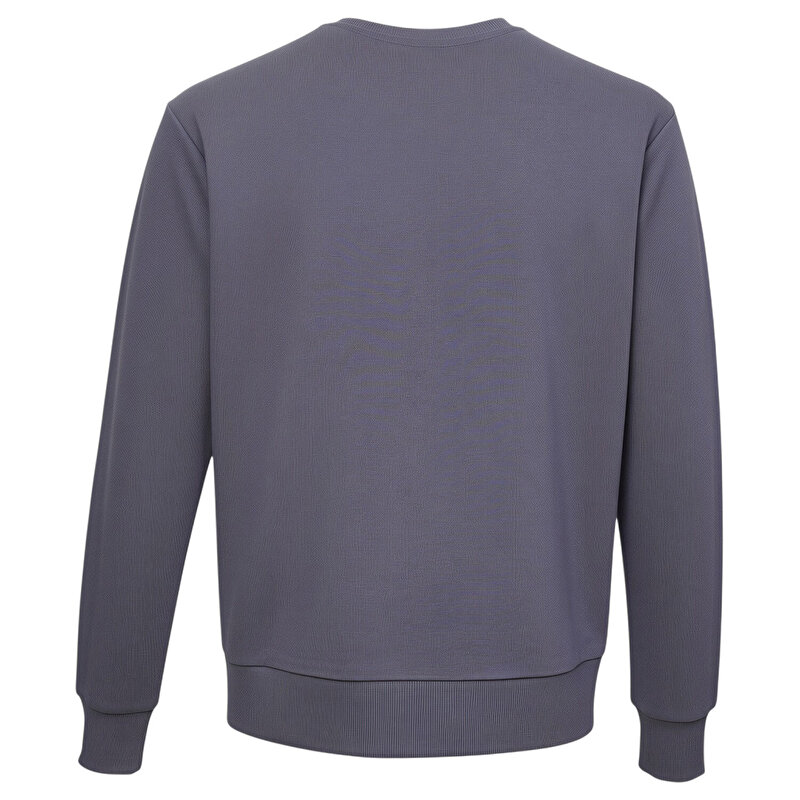 T-PULSE MALE CO REGULAR CREW NECK SWEATSHIRT - hummel 