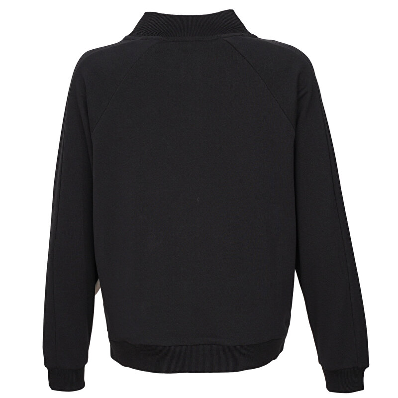 DINA FERMUARLI SWEATSHIRT - hummel 