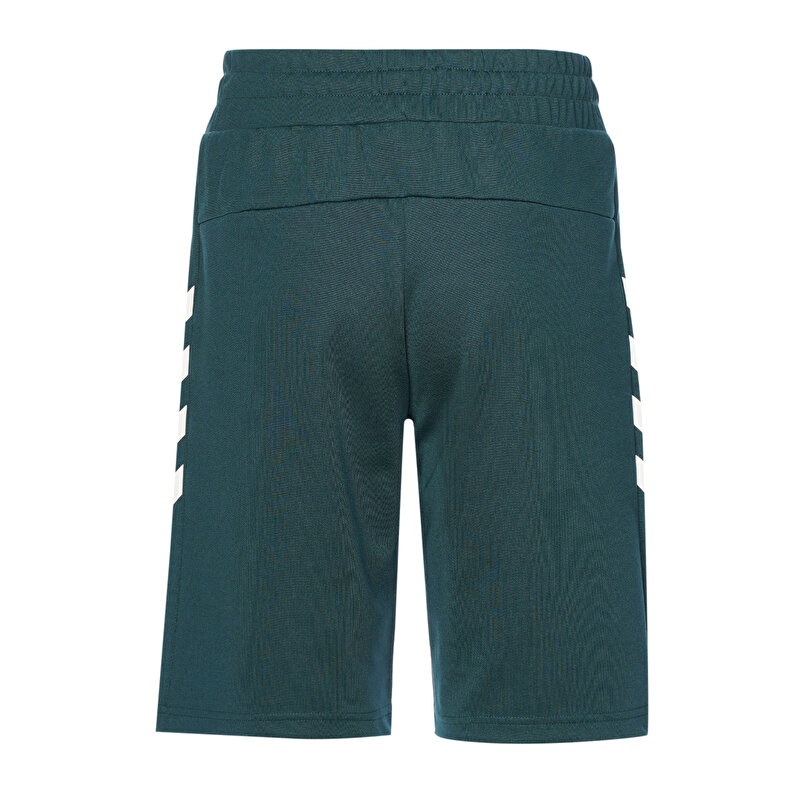FALCONZO ŞORT Yeşil Erkek Şort 