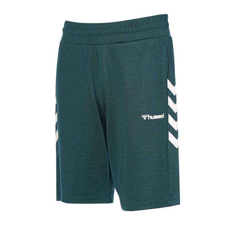 FALCONZO ŞORT Yeşil Erkek Şort 