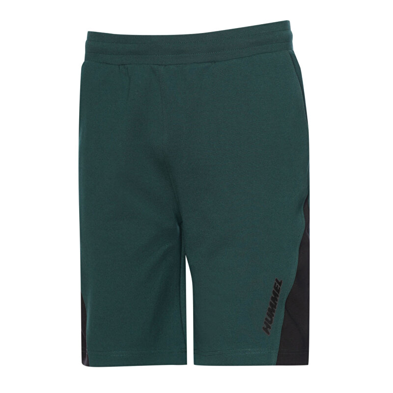 STARK ŞORT Yeşil Erkek Şort 