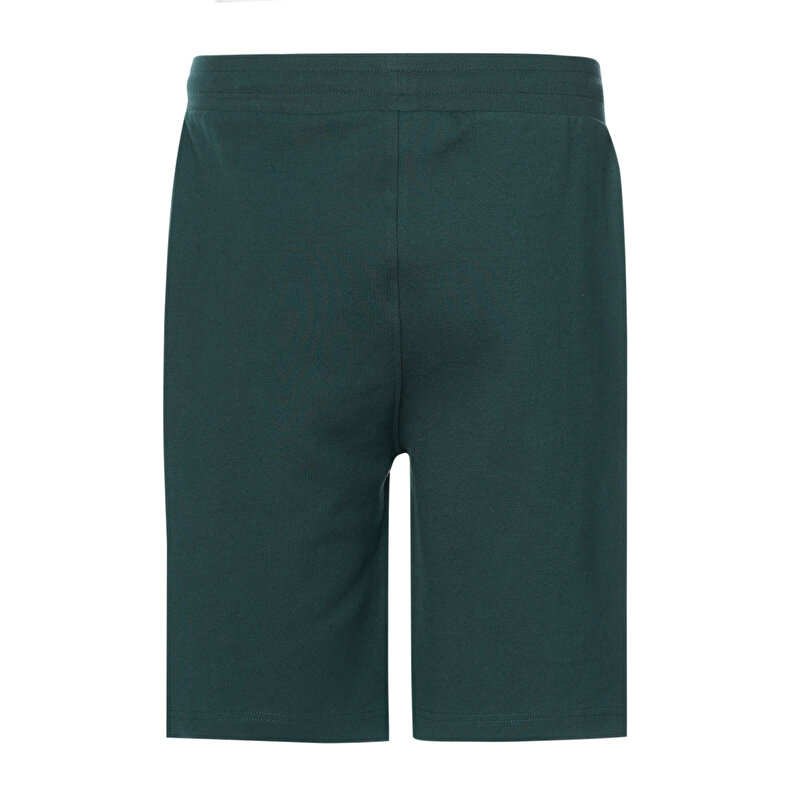 STARK ŞORT Yeşil Erkek Şort 